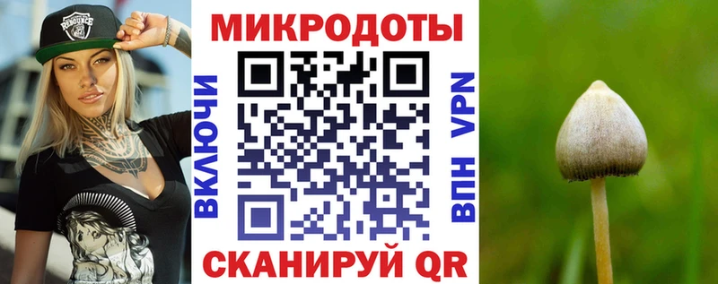 продажа наркотиков Пудож Псилоцибиновые грибы Psilocybe